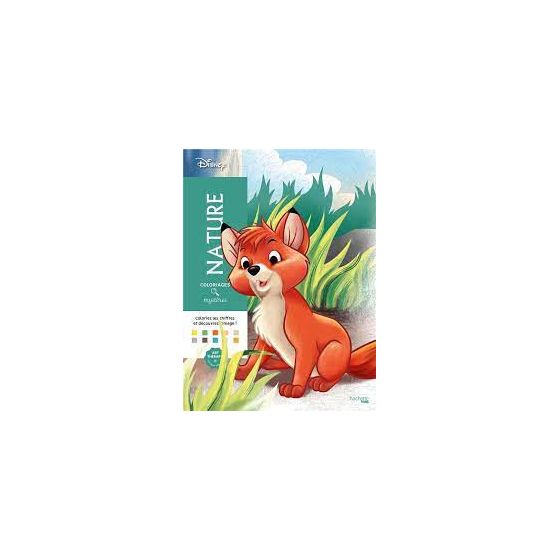 Coloriages mystères nature Hachette Color'i