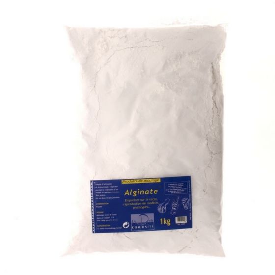 Boîte de plâtre en poudre pour moulage de DAS (1Kg)