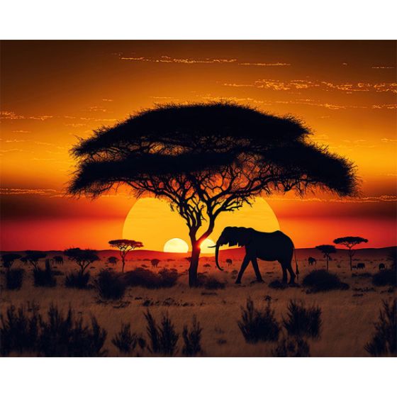 Savane Diamond painting Ctop Color'i