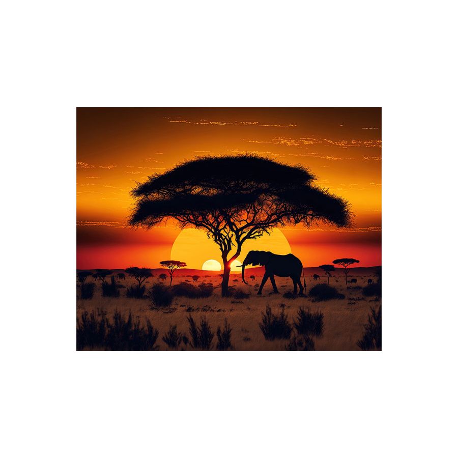 Savane Diamond painting Ctop Color'i