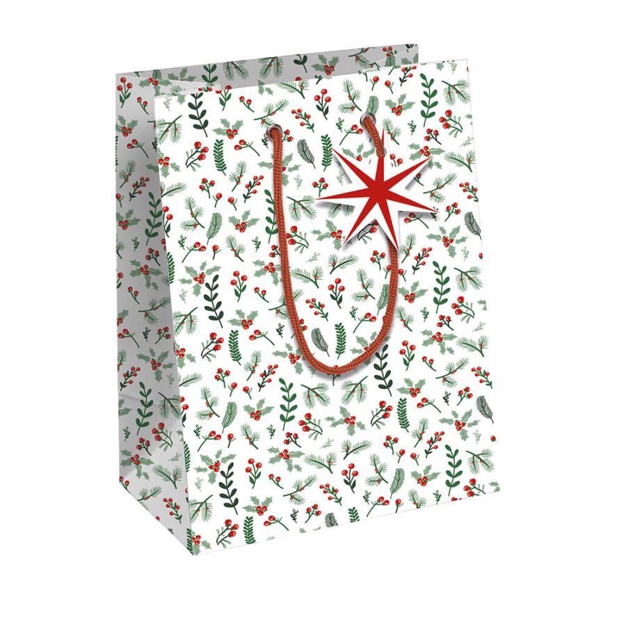 Sac cadeau papier kraft CLairfontaine Color'i