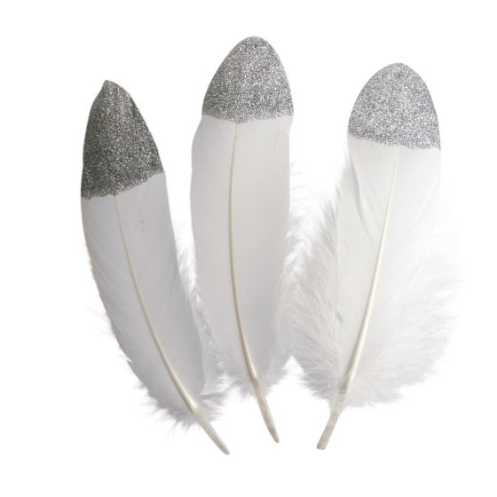 Plumes argentée Ctop Color'i