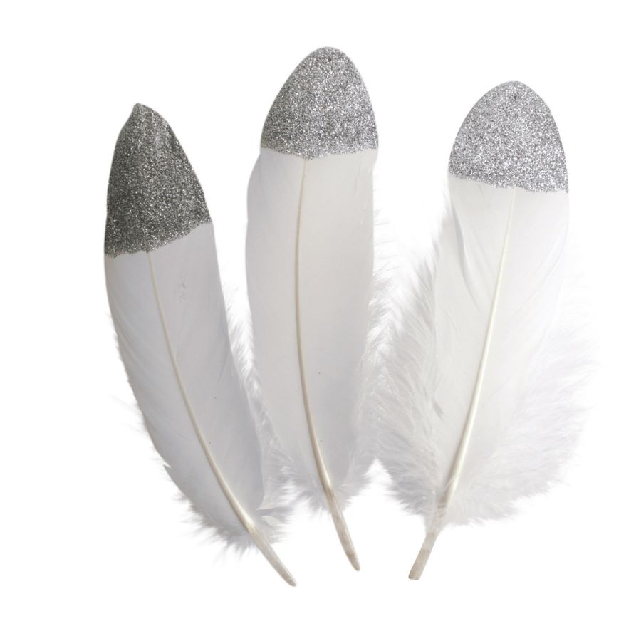 Plumes argentée Ctop Color'i