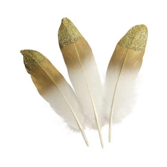 Plumes dorée Ctop Color'i
