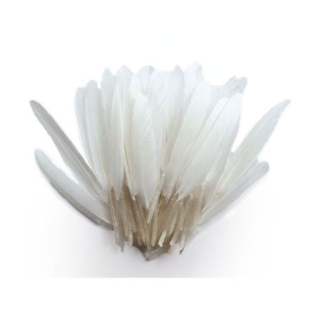 10 GR PLUMES D'INDIEN  BLANC IM#1410