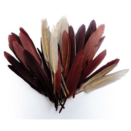 10 GR PLUMES D'INDIEN CAMAIEU CHOCOLAT IM#1411
