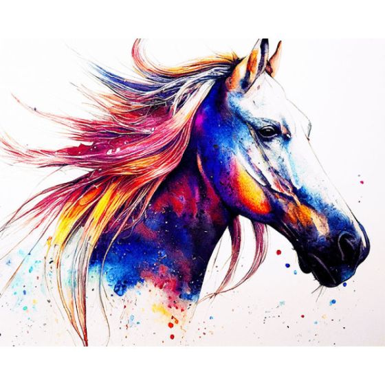 Peinture par numéros Ctop Color'i