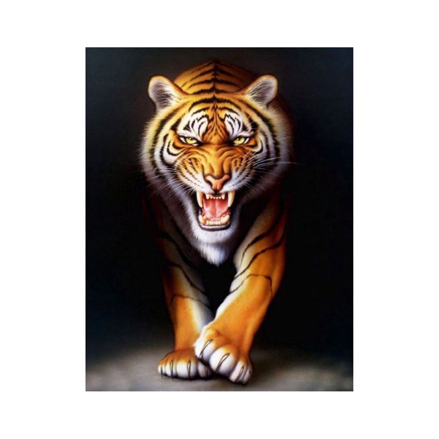 Peinture par numéros Ctop Color'i