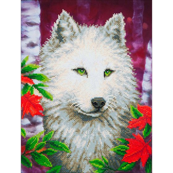Broderie diamond dotz Color'i
