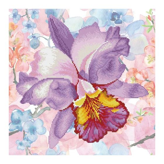 Broderie diamond dotz Color'i