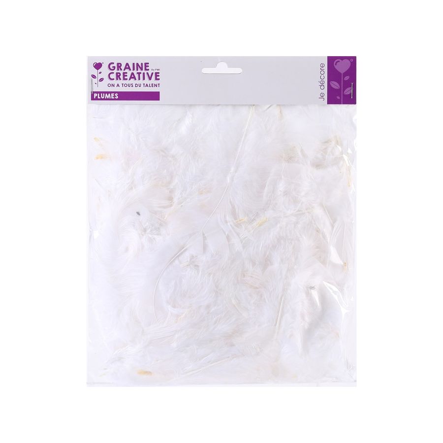 PLUME NATURELLE 25G - BLANC IM#1473