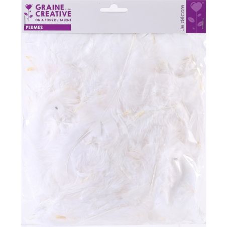 PLUME NATURELLE 25G - BLANC IM#1473