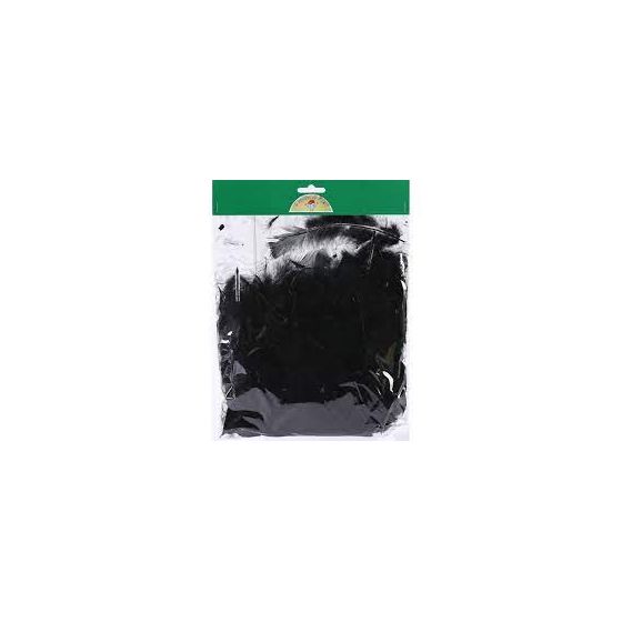 PLUME NATURELLE 25G - NOIR IM#1474