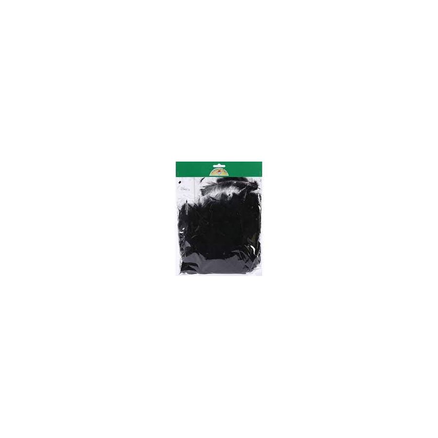 PLUME NATURELLE 25G - NOIR IM#1474
