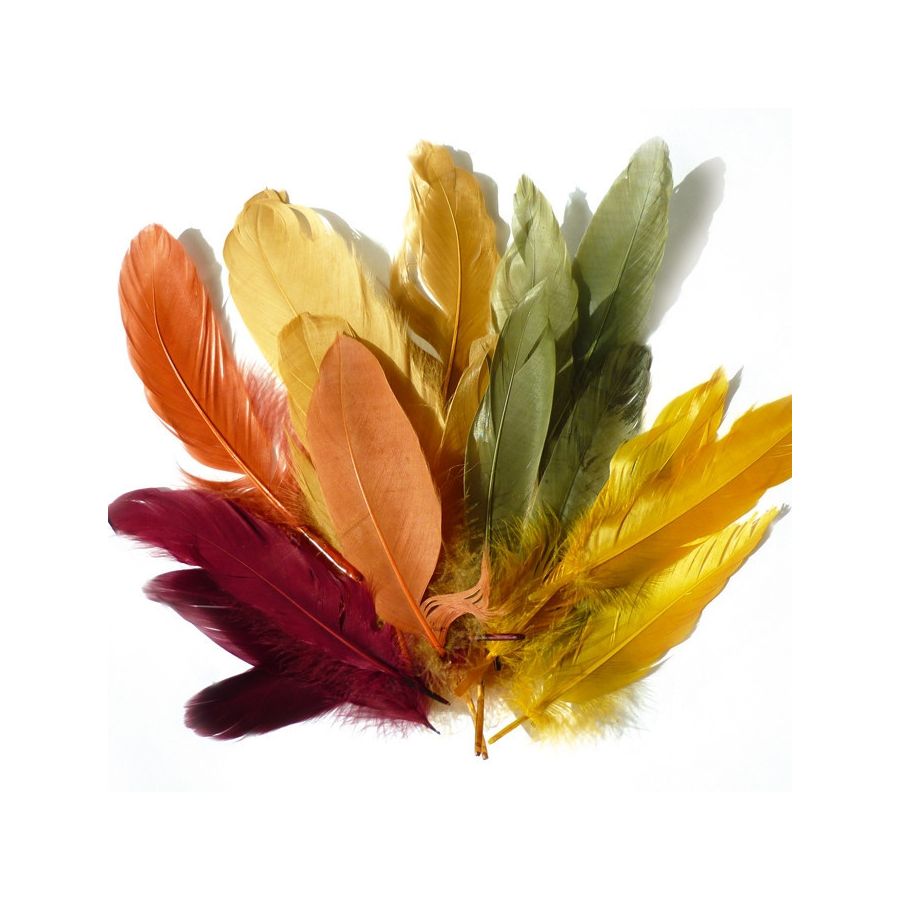 PLUMES COULEUR AUTOMNE 15G IM#1475