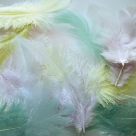 20 PLUMES COQ 7CM ASS. PASTEL IM#1479