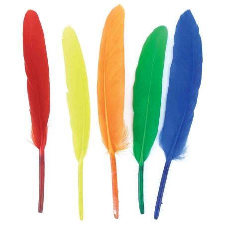 120 PLUMES INDIENNES - MULTICOLOR IM#1532