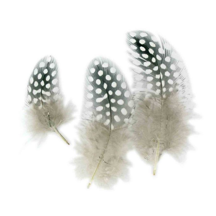 50 PLUMES CAMAIEU NATUREL IM#1534