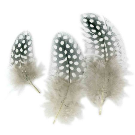 50 PLUMES CAMAIEU NATUREL IM#1534