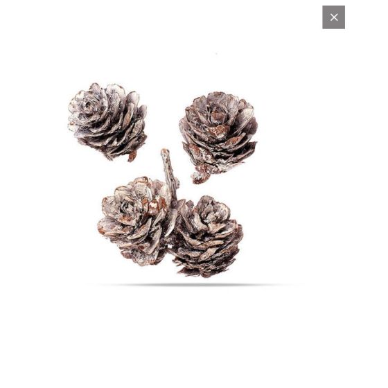 POMMES DE PIN PETITES 50G 3-4 CM