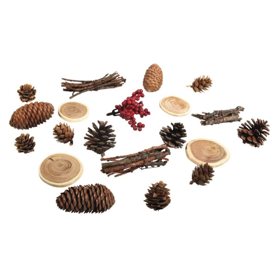MELANGE NATURELLE AVEC CONE ASSORTI, 2-6CM - 20PCES