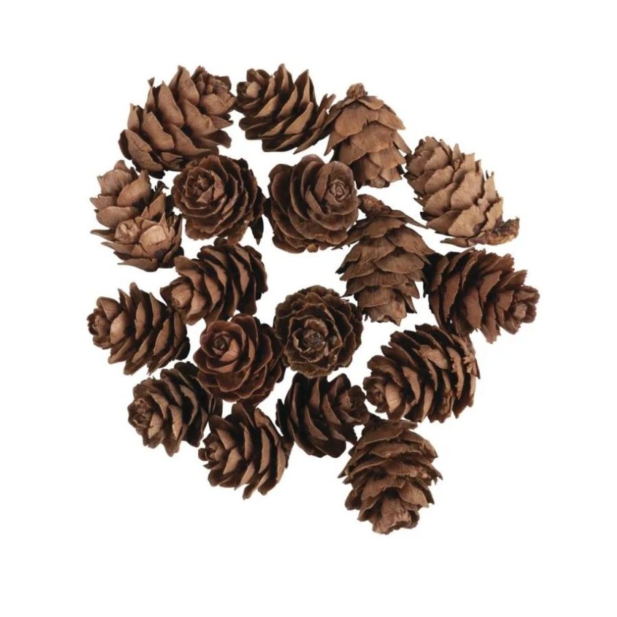 MINI POMMES DE PIN 18 PCS