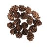 MINI POMMES DE PIN 18 PCS