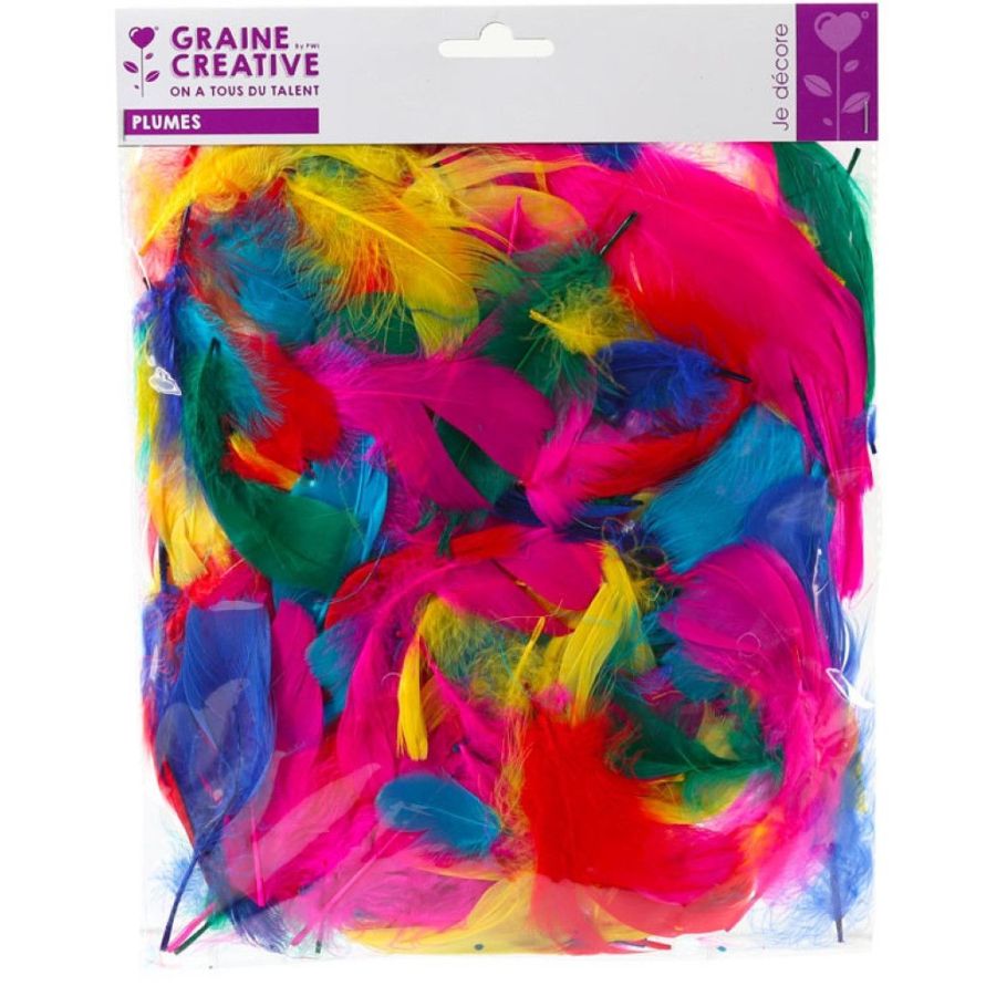 SACHET 12G PLUMES COQUILLE D'OIE COLORIS ASSORTIS