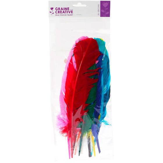 SACHET 10 PLUMES INDIEN COLORIS ASSORTIS