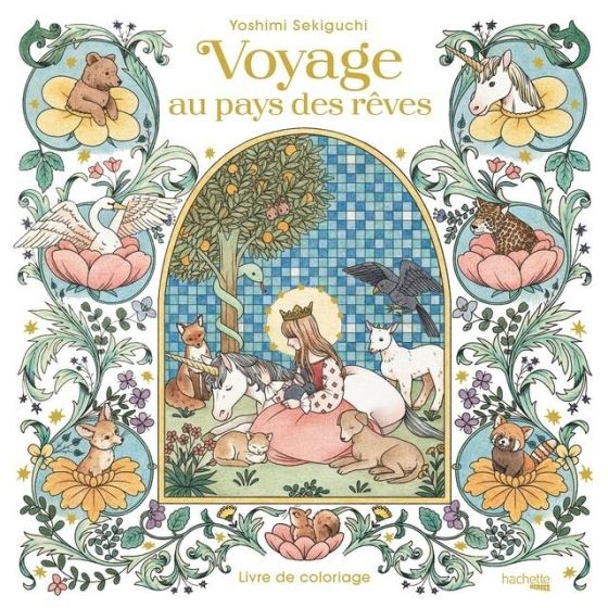 LIVRE DE COLORIAGES - VOYAGE AU PAYS DES REVES
