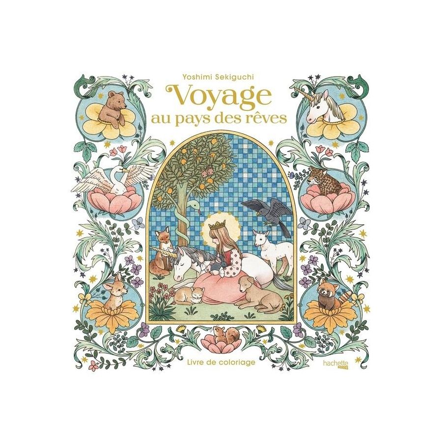 LIVRE DE COLORIAGES - VOYAGE AU PAYS DES REVES