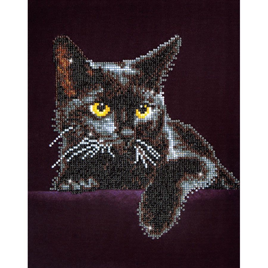 Diamond Dotz - Chat Noir