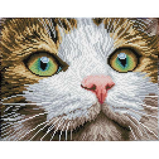 DIAMOND DOTZ : CHAT AUX YEUX VERTS AVEC CADRE