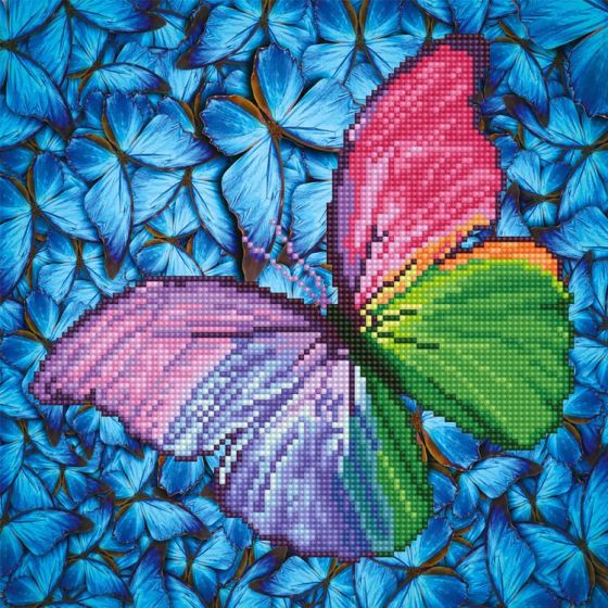 DIAMOND DOTZ : PAPILLON ROSE AVEC CADRE