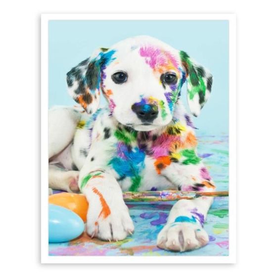 KIT DIAMOND PAINTING - DALMATIEN 30X40 CM