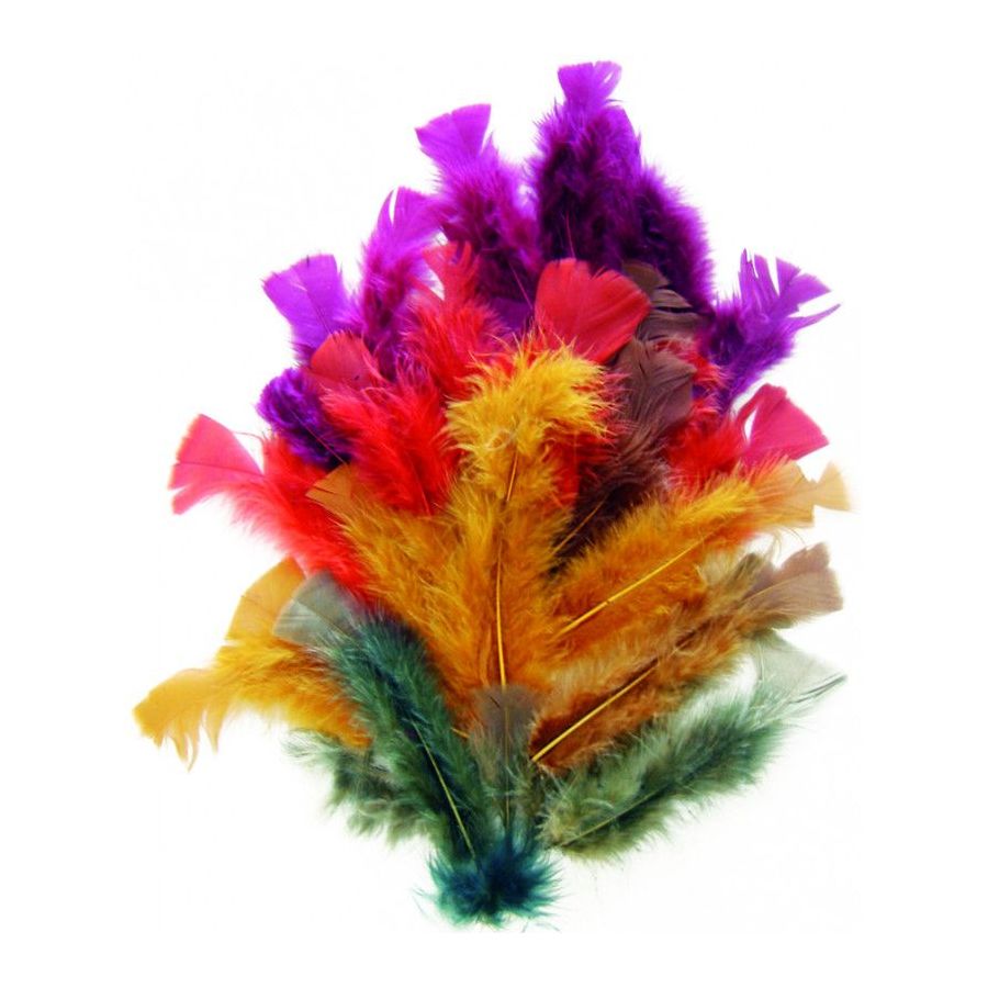 Sachet 25G Plumes Coloris Automnes - Graine Creative