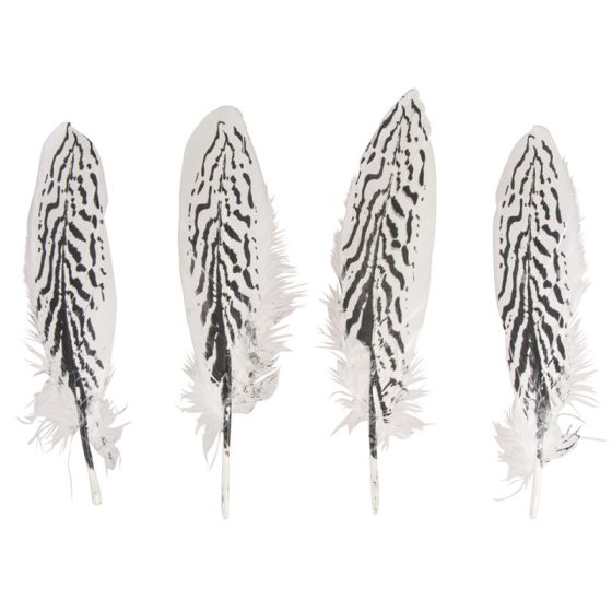 4 PLUMES MOTIF ZEBRE - 20-22CM IM#1940