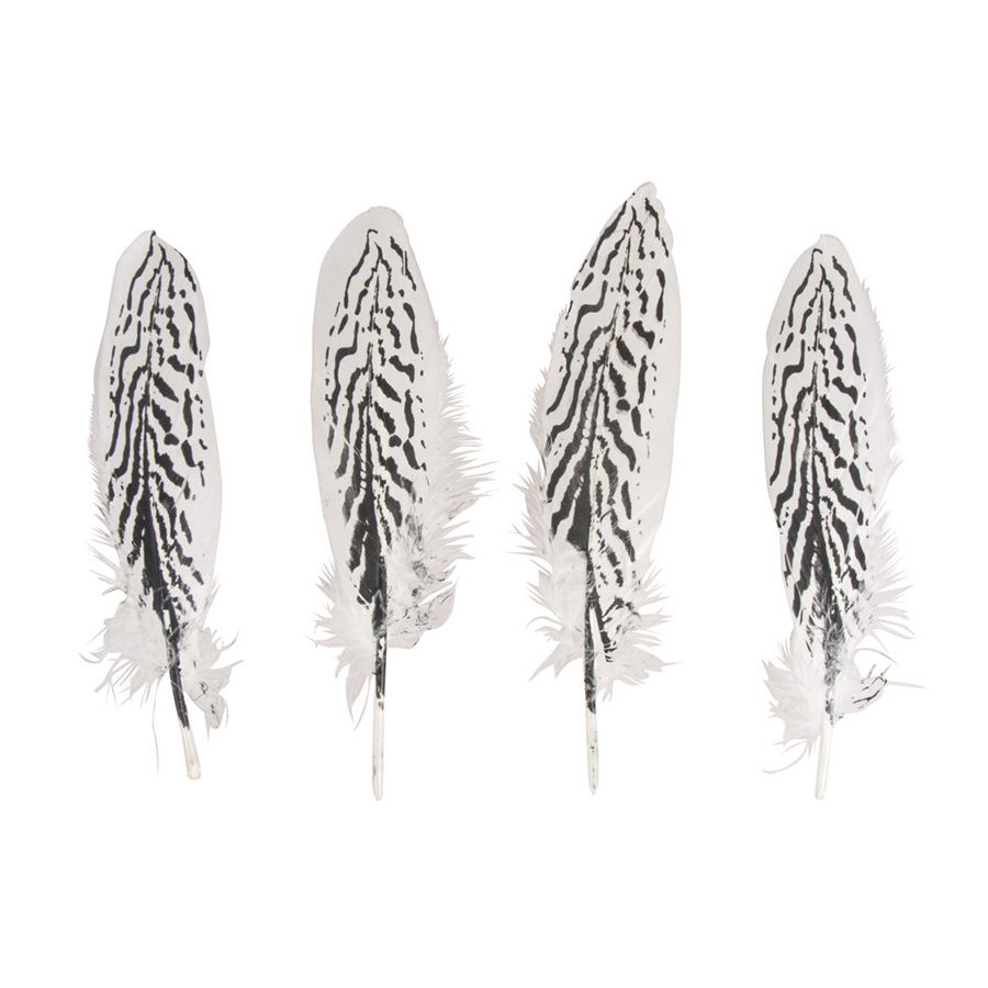 4 PLUMES MOTIF ZEBRE - 20-22CM IM#1940