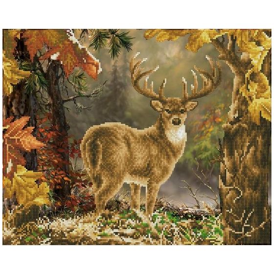 BRODERIE DIAMOND DOTZ - PRINCE DE LA FORÊT