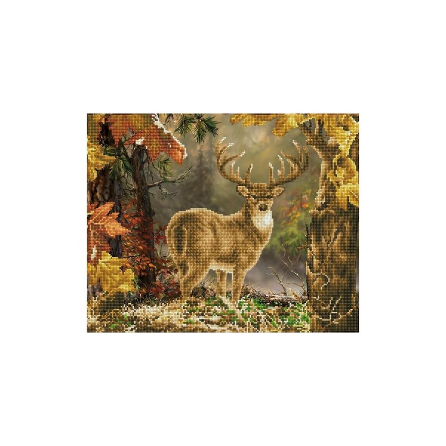 BRODERIE DIAMOND DOTZ - PRINCE DE LA FORÊT