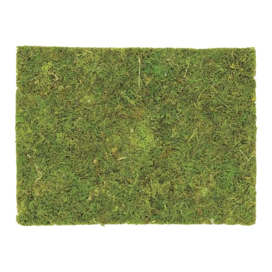 Plaque en mousse 30X20 cm - Glorex