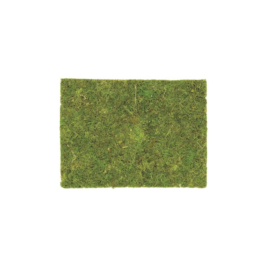 Plaque en mousse 30X20 cm - Glorex
