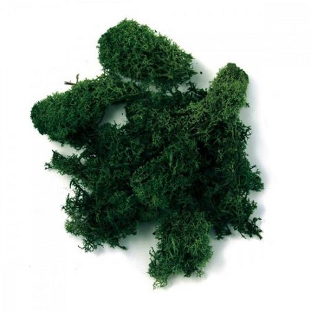 MOUSSE D'ISLANDE VERT FONCE 30G IM#2053