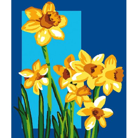 Jonquilles 25x30  