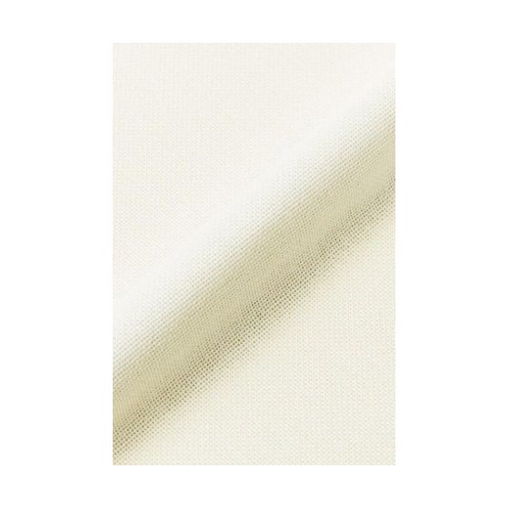 Toile à broder etamine - Charles craft