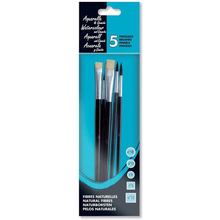 SET 5 PINCEAUX AQUARELLE IM#2087