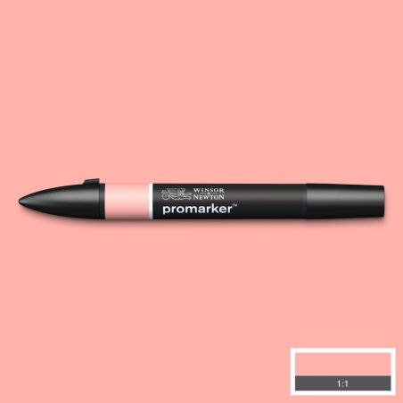 ROSE BRUMEUX (R729) 