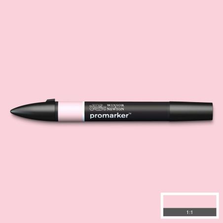 ROSE PALE (R519) 