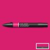 Rose chaud (r365)
