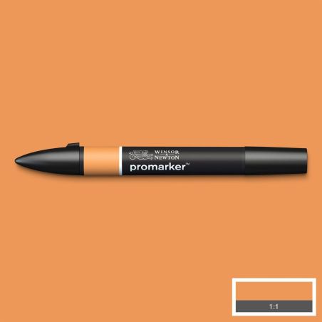 GINGEMBRE (O136) 